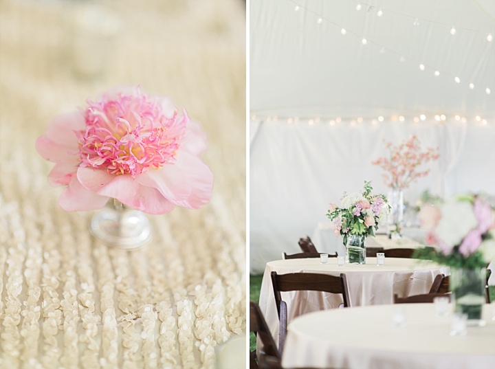 Edenton Wedding - Edenton Courthouse Lawn Wedding Catering - Northeastern North Carolina -Light Pink Wedding - Happy Couple (3)