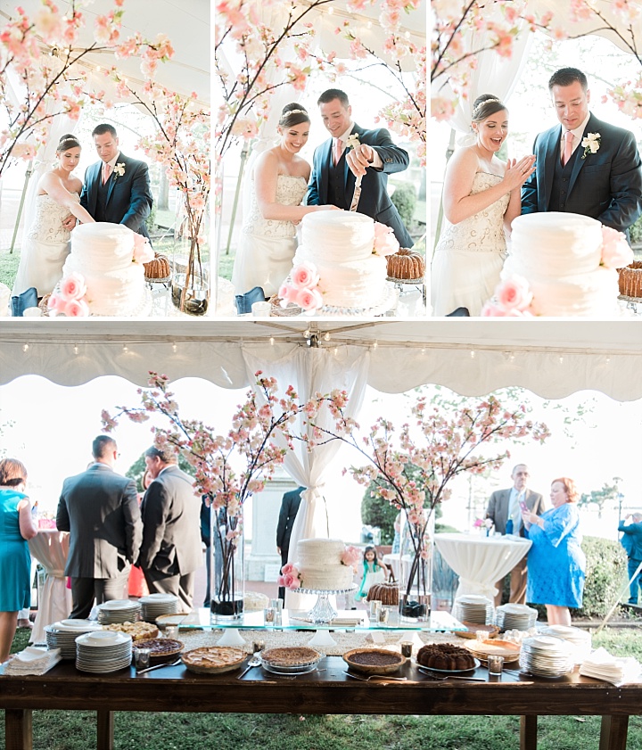 North Carolina Wedding - Wedding Cake and Pie Bars - Cake Cutting