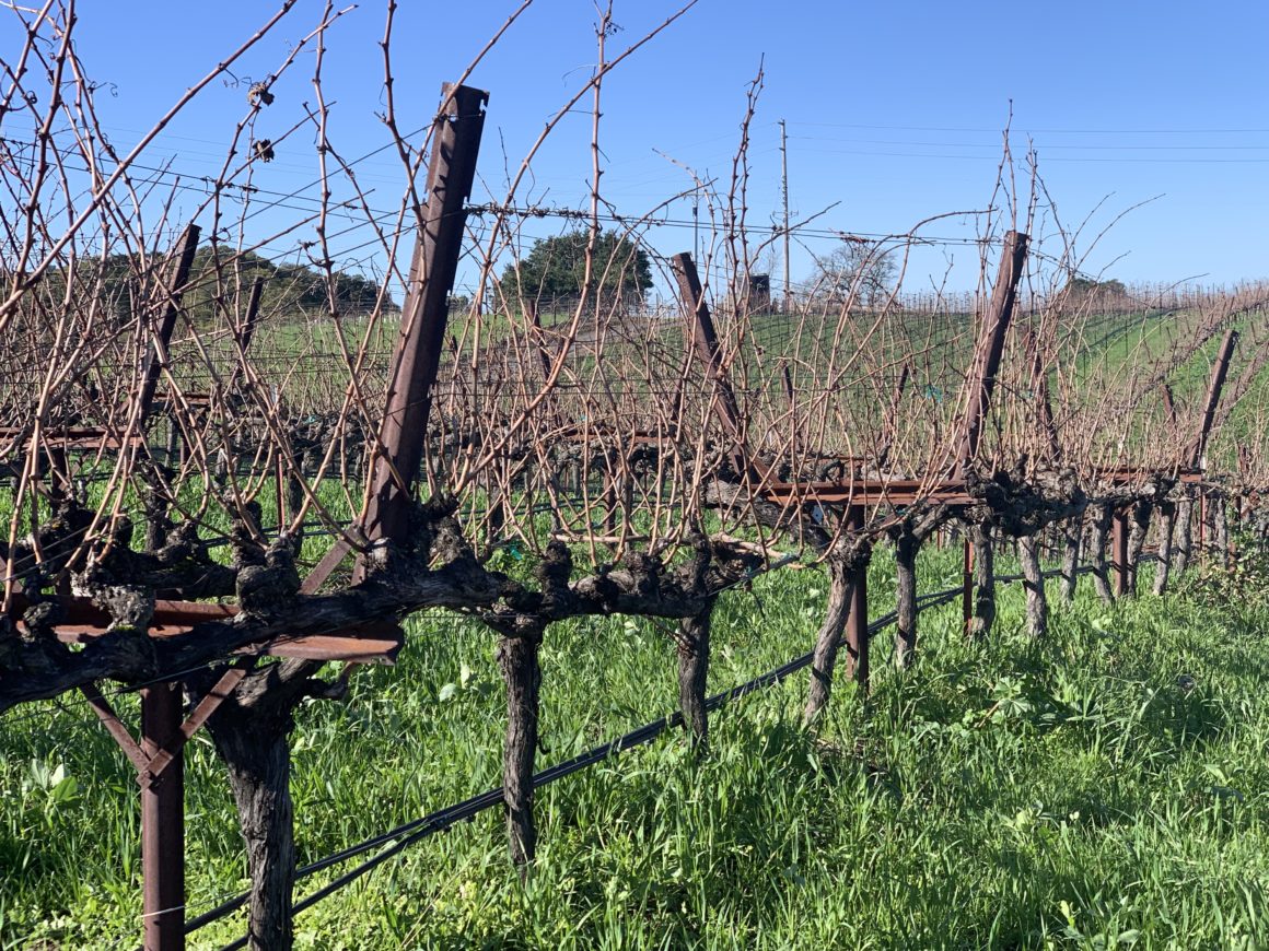 Our Trip to Napa: Part 1